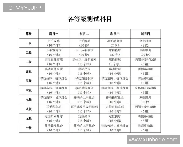 西安羽毛球队防反战术解析与深度剖析助力竞技水平提升